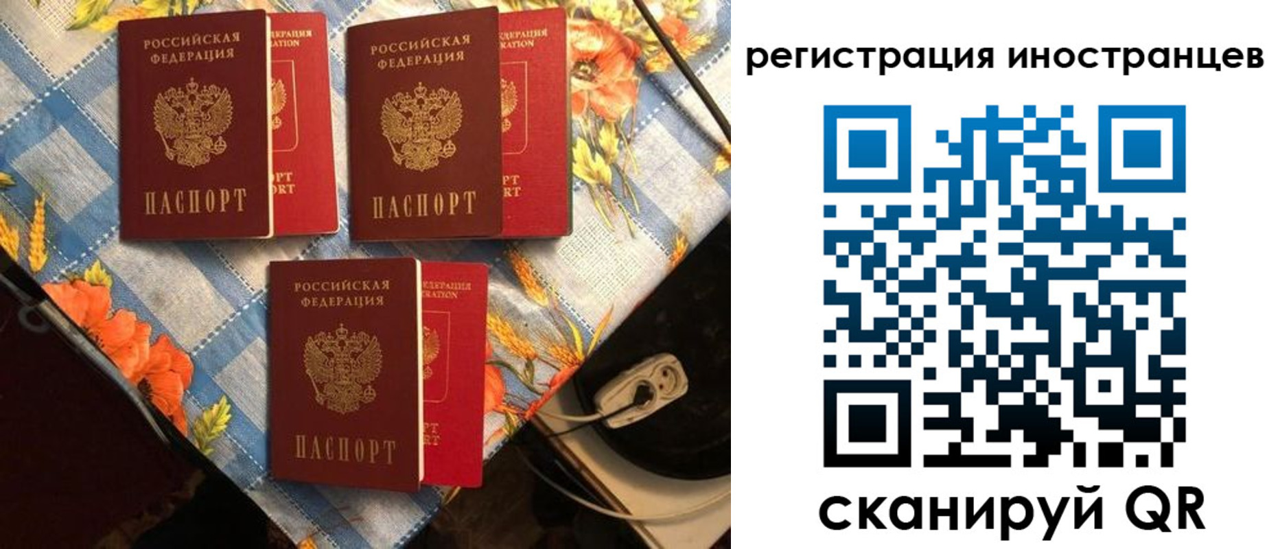 прописка поиск в Камчатской области