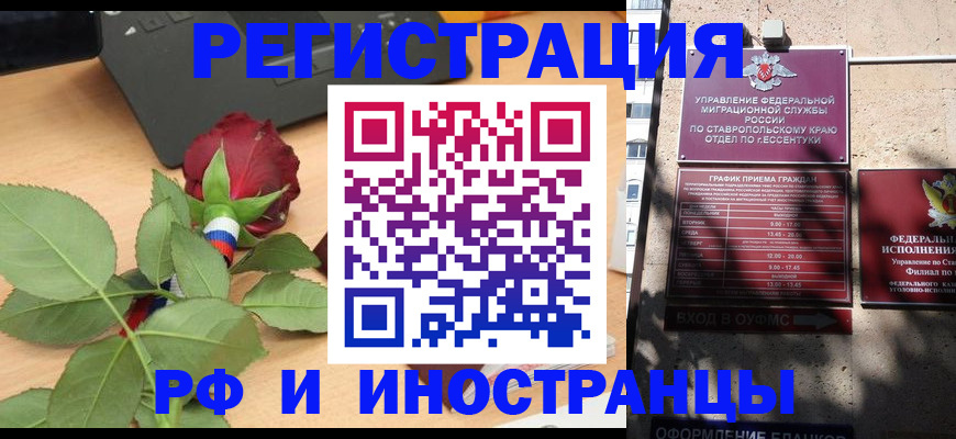 найти адрес прописки в Камчатской области